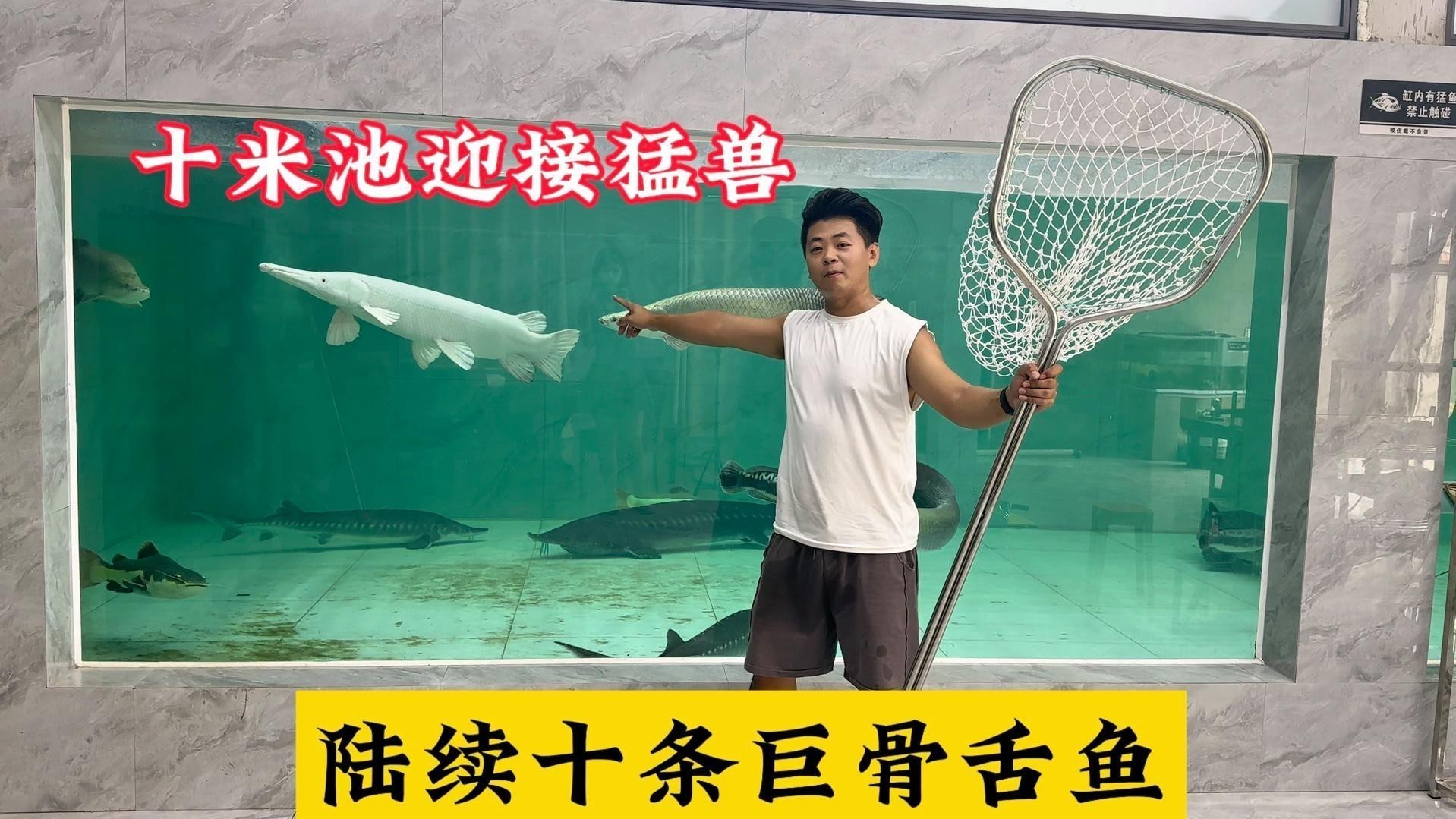 龍龍還有哪些養魚視頻？