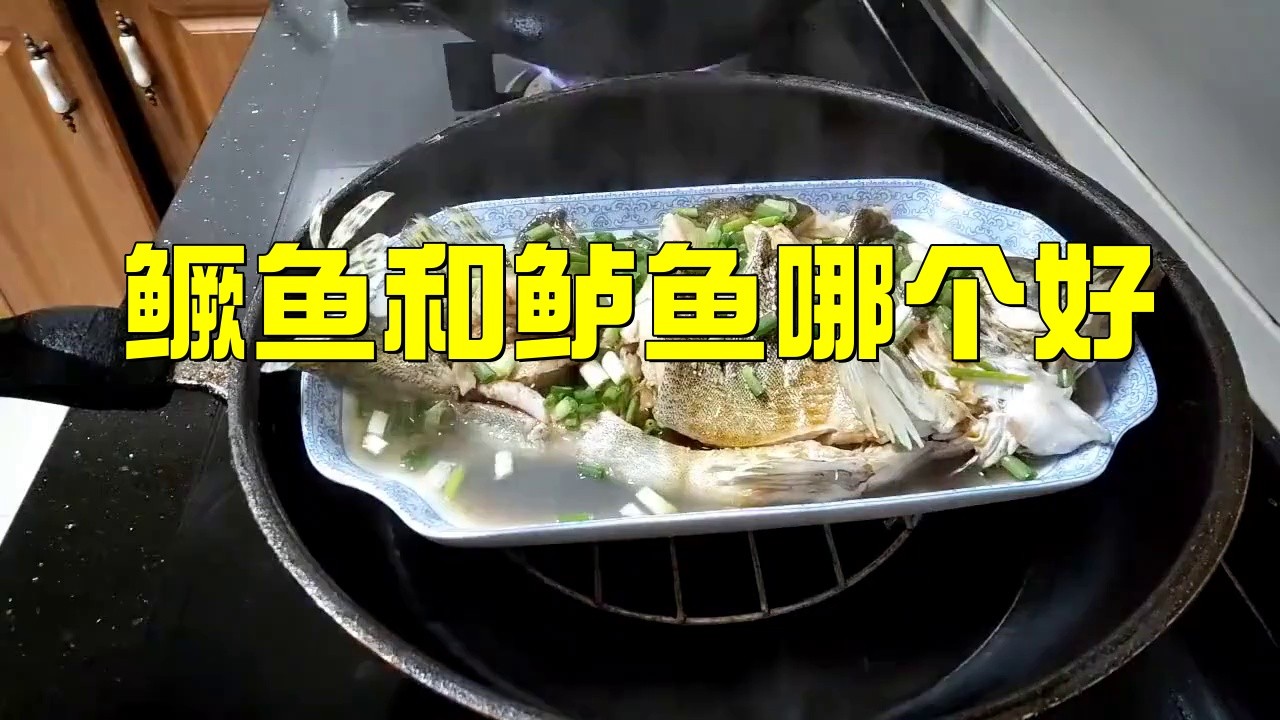桂魚跟鱸魚哪個(gè)好