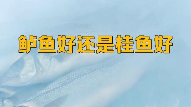 桂魚跟鱸魚哪個(gè)好