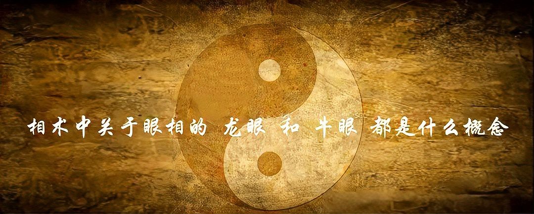 最標準的龍眼面相 最標準的龍眼面相 龍魚論壇 第3張