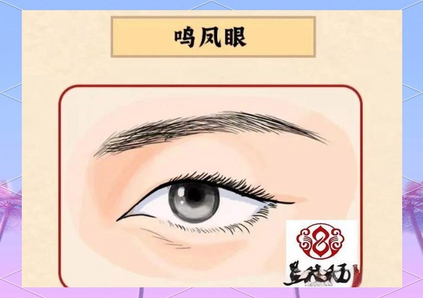 最標準的龍眼面相 最標準的龍眼面相 龍魚論壇 第2張