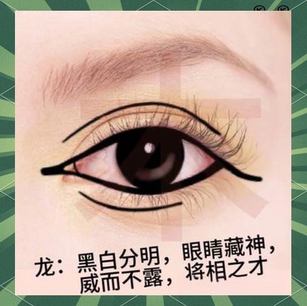最標準的龍眼面相 最標準的龍眼面相 龍魚論壇 第9張