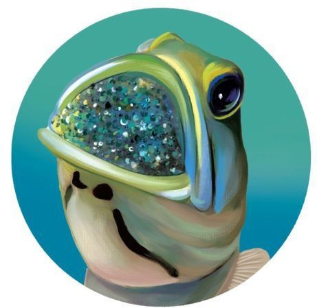 魚生寶寶是用嘴生的嗎