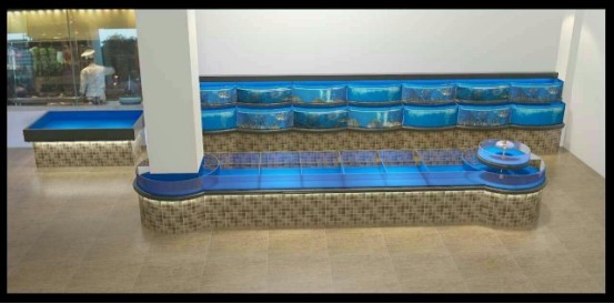白銀龍魚背部魚鱗脫落了還能活嗎視頻（白銀龍魚背部魚鱗脫落了還能活嗎視頻講解）