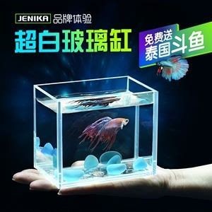 晉城經濟技術開發區晉會水族店（晉城水族館在哪里） 晉城經濟技術開發區晉會水族店（晉城水族館在哪里） 全國水族館企業名錄