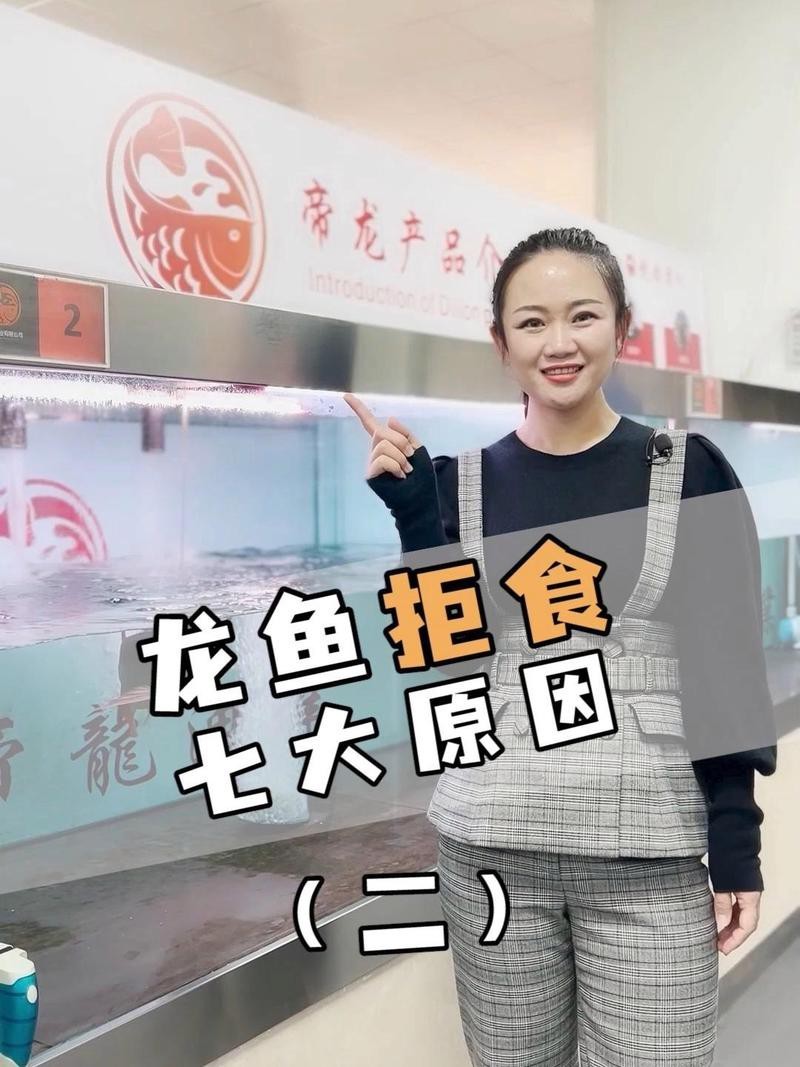 紅龍魚不吃食最怕三個東西