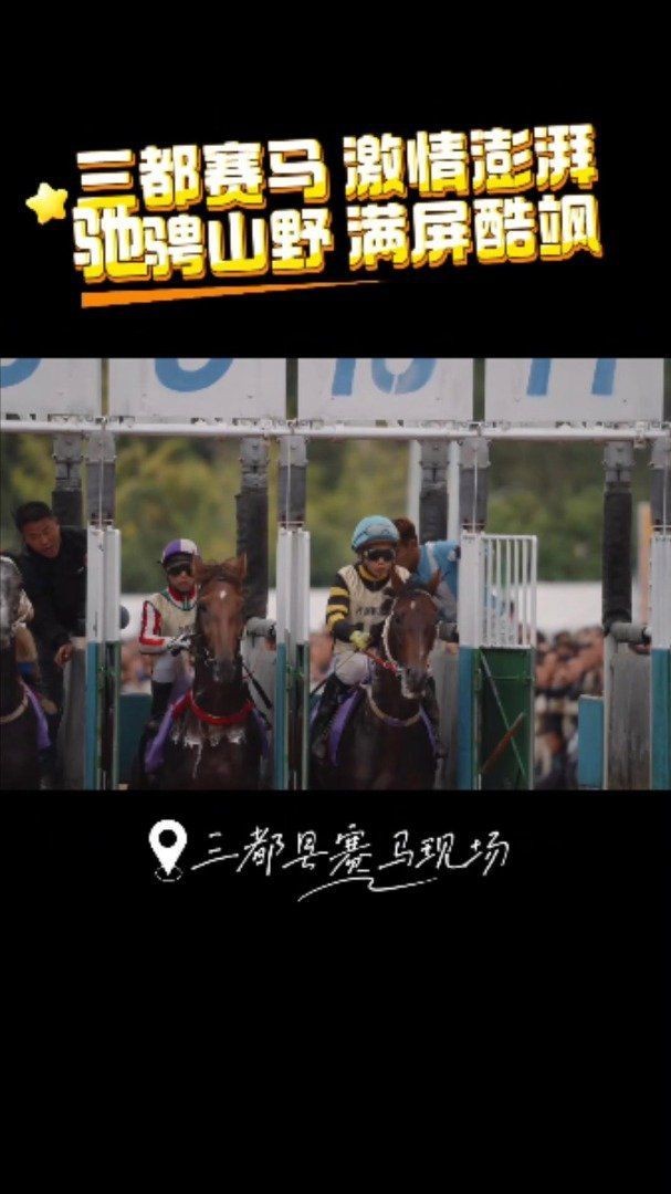貴州賽馬是哪個民族的
