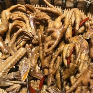 龍魚市場加盟費用大概是多少？