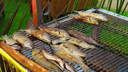 吳橋縣桑園鎮瑞祥水族館（吳橋縣桑園鎮瑞祥水族館電話）