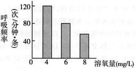 四大家魚混養體現自生 四大家魚混養體現自生 龍魚論壇