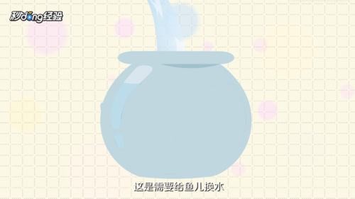 雙線側(cè)魚（雙線側(cè)魚的市場(chǎng)價(jià)格）