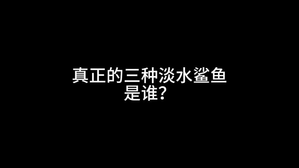 淡水鯊魚10大品種 龍魚論壇 第1張 淡水鯊魚10大品種 淡水鯊魚10大品種 龍魚論壇 第1張