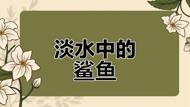 淡水鯊魚10大品種 淡水鯊魚10大品種 龍魚論壇 第2張