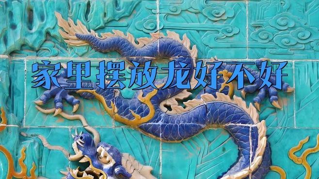 請再詳細分析龍的擺放禁忌