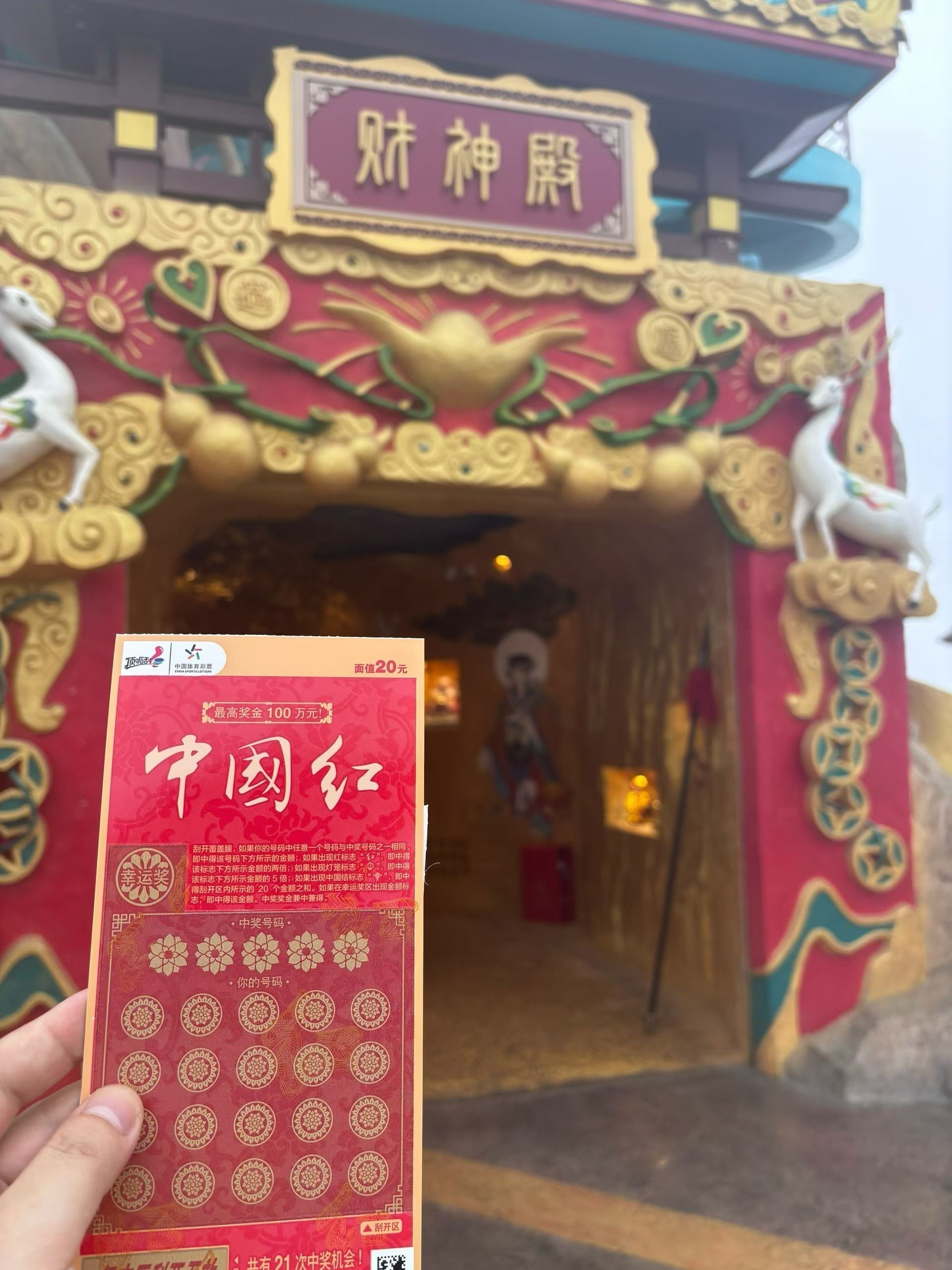 一定中了 一定中了 龍魚論壇