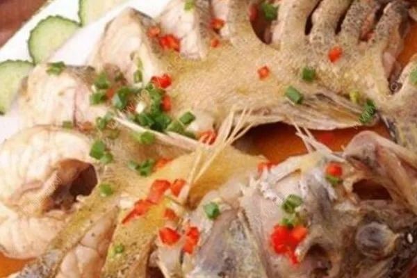 花星魚的功效和作用 花星魚的功效和作用 龍魚論壇 第6張