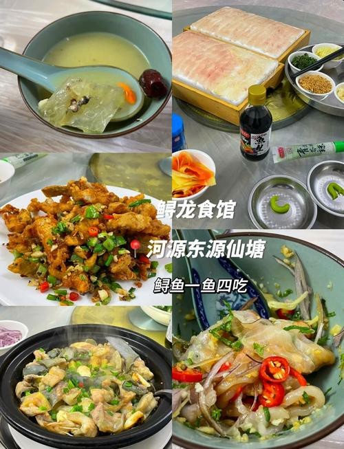 河源鱘龍魚