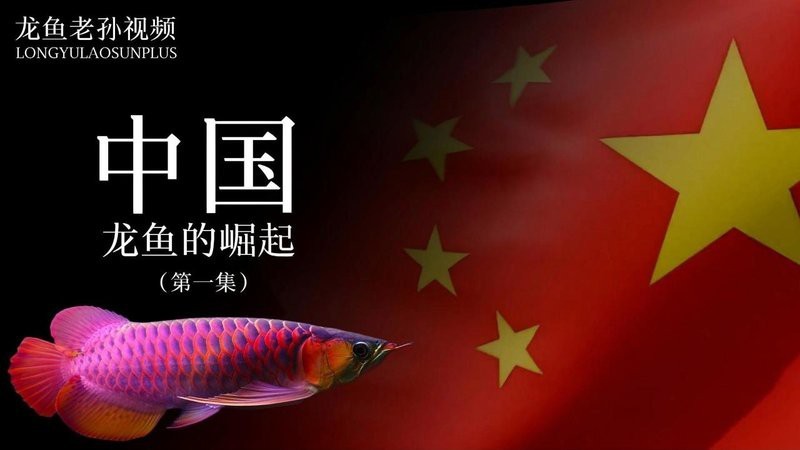 老吳說龍魚最簡單三個(gè)故事