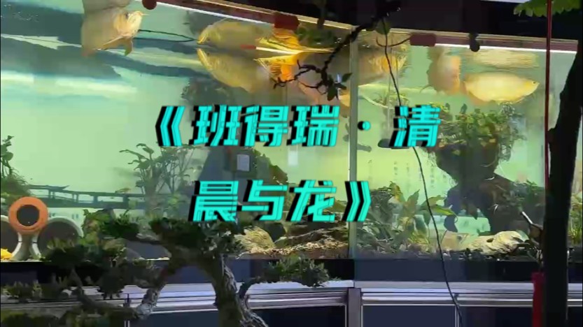 《班得瑞·清晨與龍??》