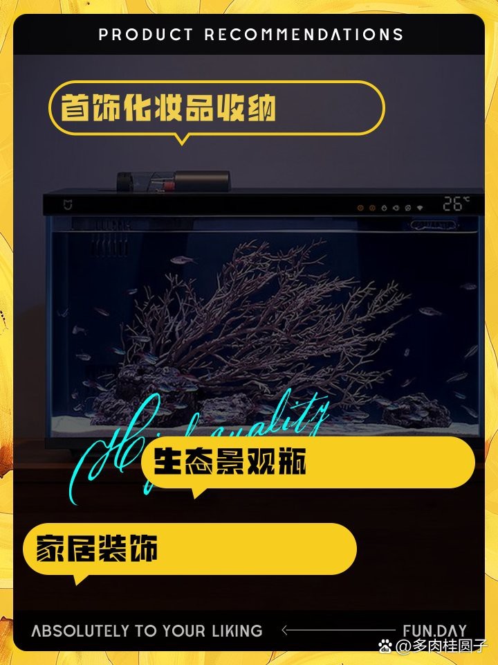 廢舊魚缸妙用100種
