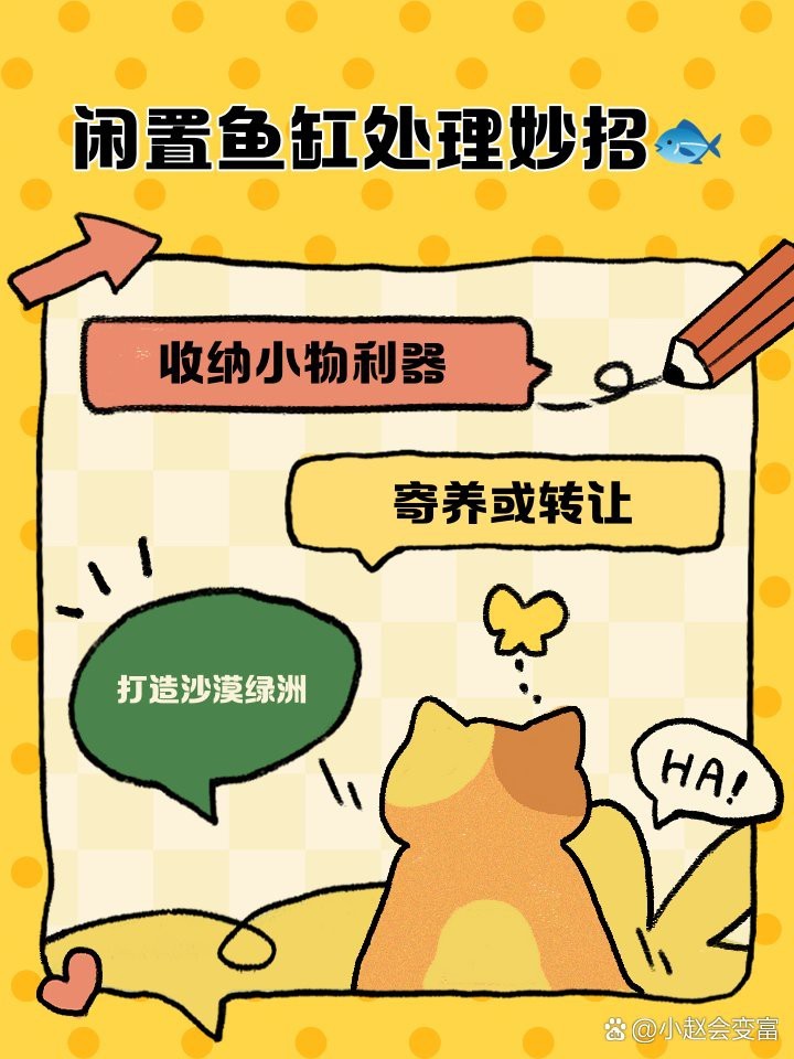 廢舊魚缸妙用100種