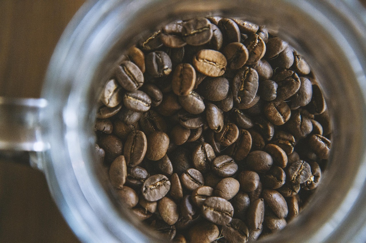 黃金貓魚為何要盡量少吃