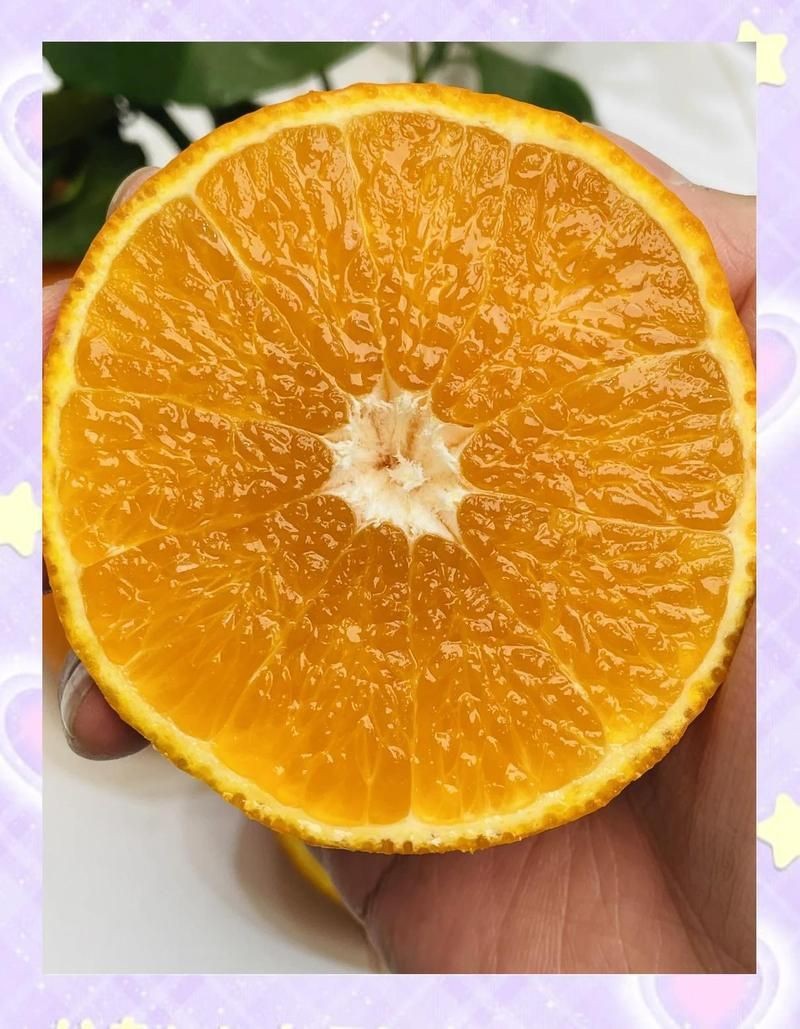 紅美人產自哪里