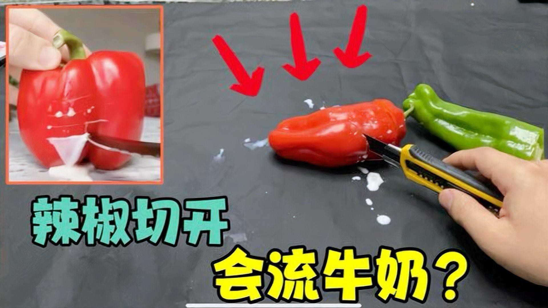 如何辨別真假紅龍23色素辣椒？