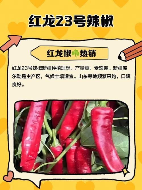 如何辨別真假紅龍23色素辣椒？