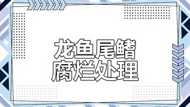 過背金龍魚圖片欣賞圖