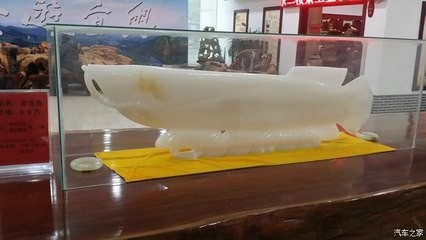銀龍魚發色過程圖解視頻(銀龍魚顏色怎么發青)