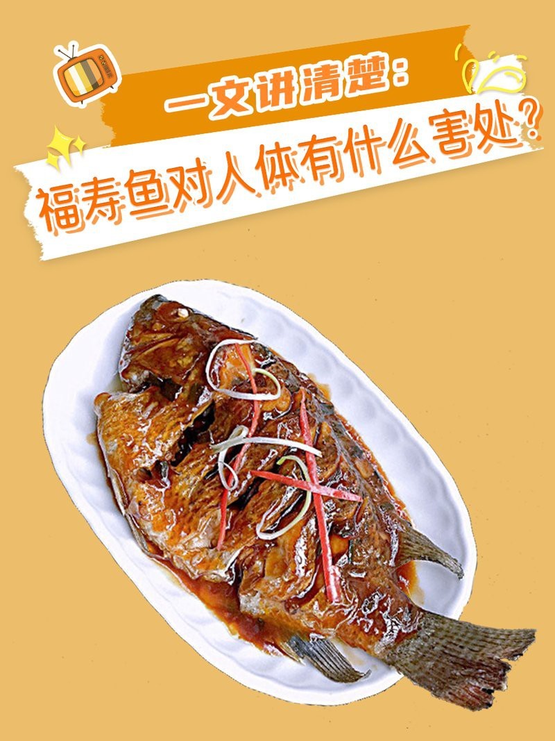 福壽魚十大禁忌 福壽魚十大禁忌 龍魚論壇 第2張