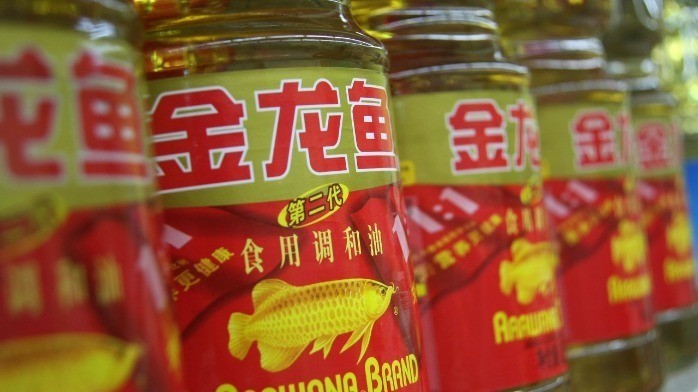 銀龍魚價格多少錢一只十里米（10厘米銀龍魚價格）