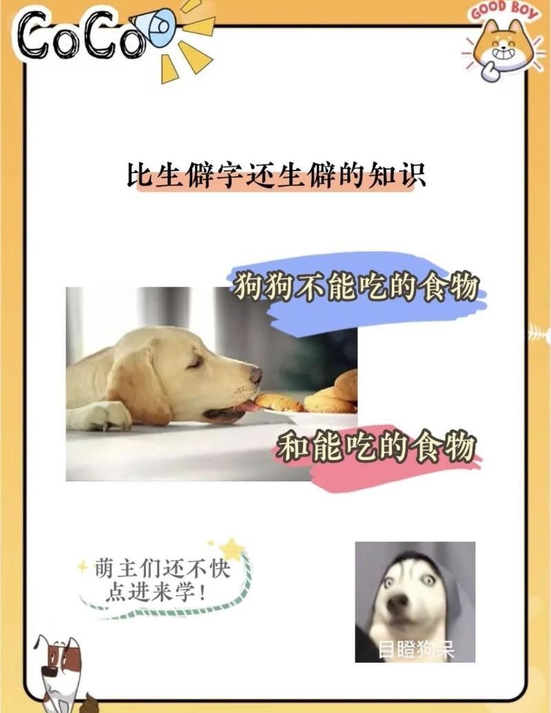 紅老虎混養(yǎng)最忌三種水果
