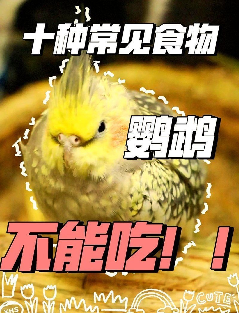 紅老虎混養(yǎng)最忌三種水果