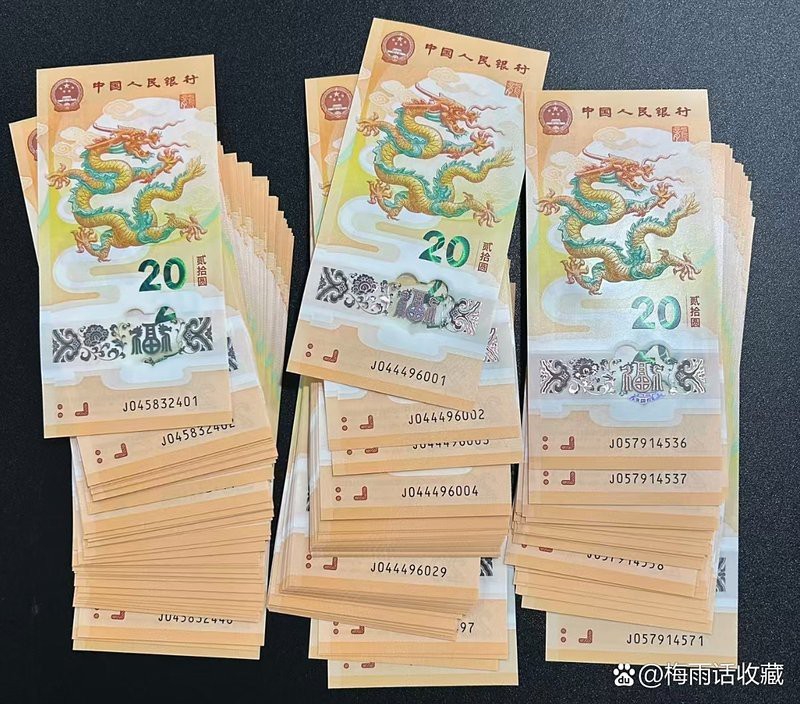 紅眼白子招財龍價格