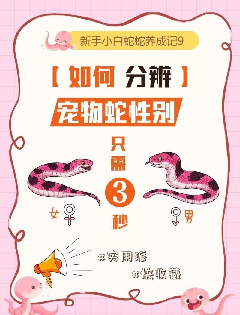 紅線黑影道人公母區(qū)別