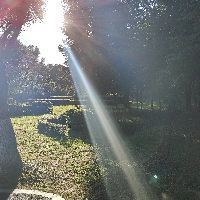 紅線黑影道人公母區(qū)別