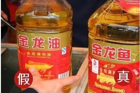 金龍魚真假對照圖高清