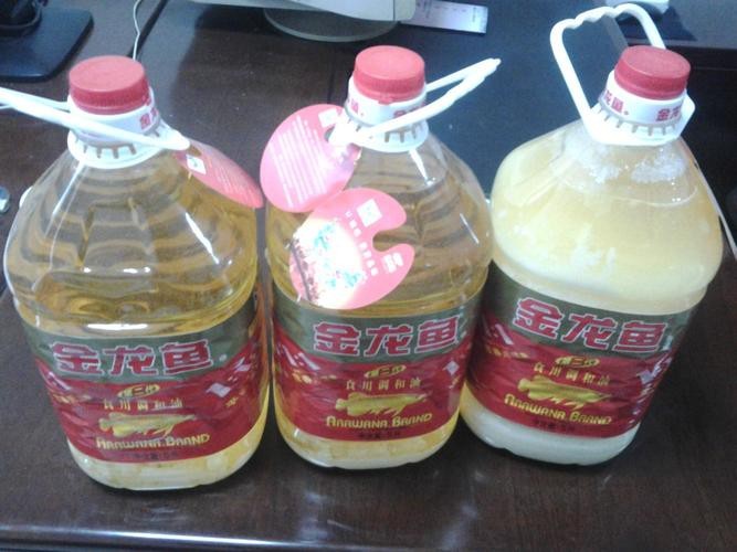 金龍魚真假對照圖高清