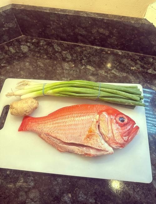 紅鯛魚圖片 龍魚論壇 第3張 紅鯛魚圖片 紅鯛魚圖片 龍魚論壇 第3張