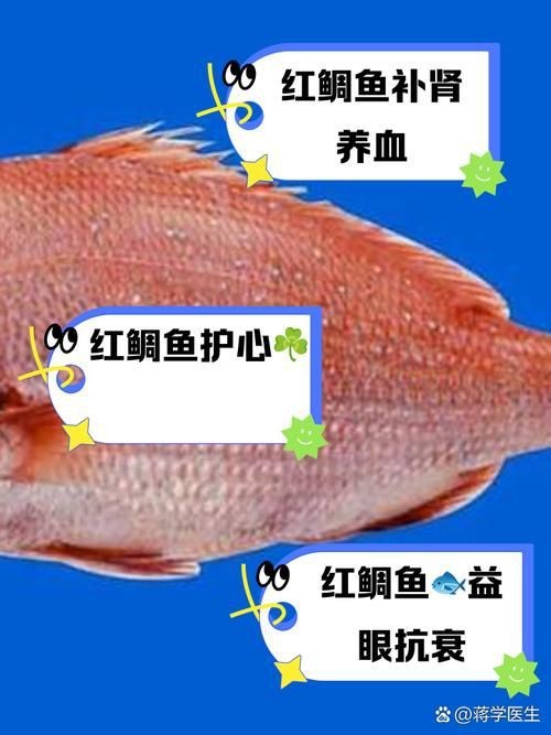 紅鯛魚圖片 龍魚論壇 第18張 紅鯛魚圖片 紅鯛魚圖片 龍魚論壇 第18張