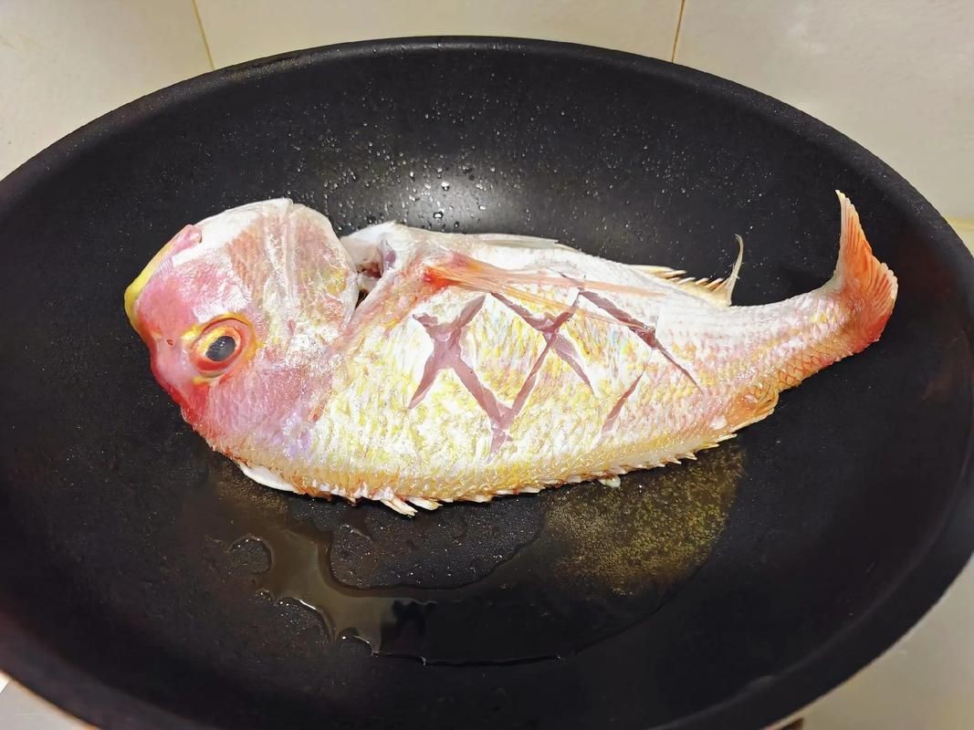 紅鯛魚圖片 龍魚論壇 第20張 紅鯛魚圖片 紅鯛魚圖片 龍魚論壇 第20張