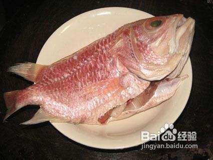 紅鯛魚圖片 龍魚論壇 第32張 紅鯛魚圖片 紅鯛魚圖片 龍魚論壇 第32張