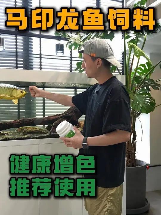 龍魚發色期間如何喂養？ 龍魚發色期間如何喂養？ 龍魚論壇 第6張