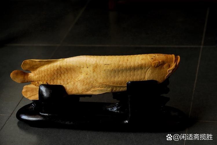 各種形態木雕魚圖片