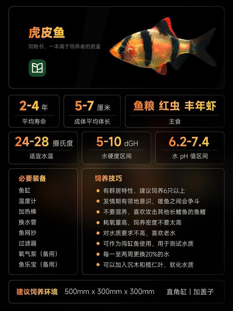 虎皮鯊魚(yú)圖片