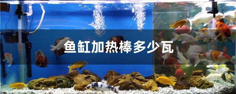 魚缸加熱棒多少瓦