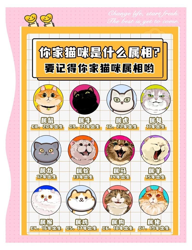 龍貓適合什么屬相的人