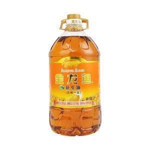 銀龍魚魚鱗上有白點是什么病(銀龍魚身上起白點是怎么回事)